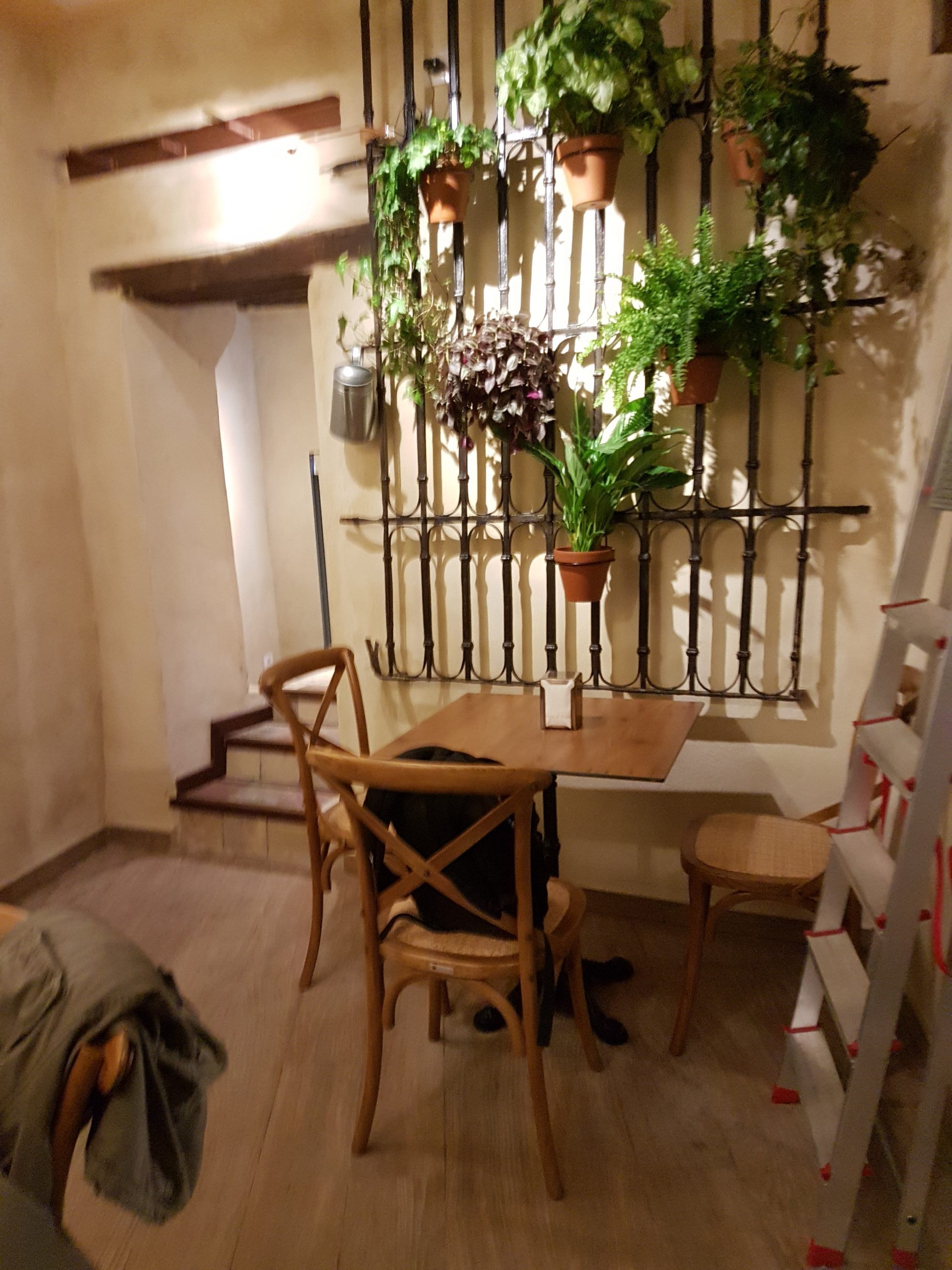 reforma restaurante robles sevilla praes 2